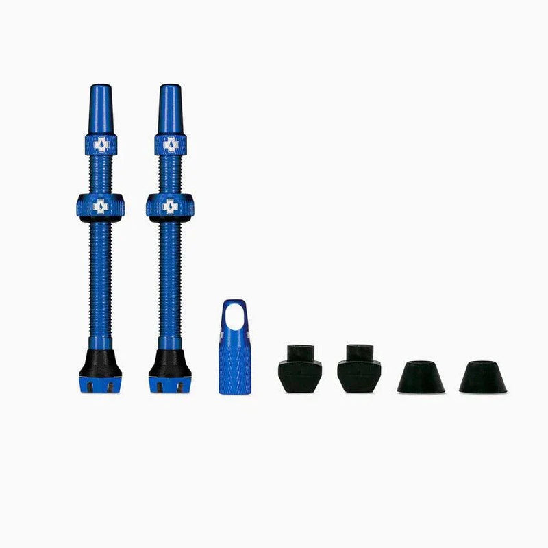 Chargez l'image dans la visionneuse de la galerie, V2 Tubeless Valve Kit 60mm with accessories and anodised blue color.