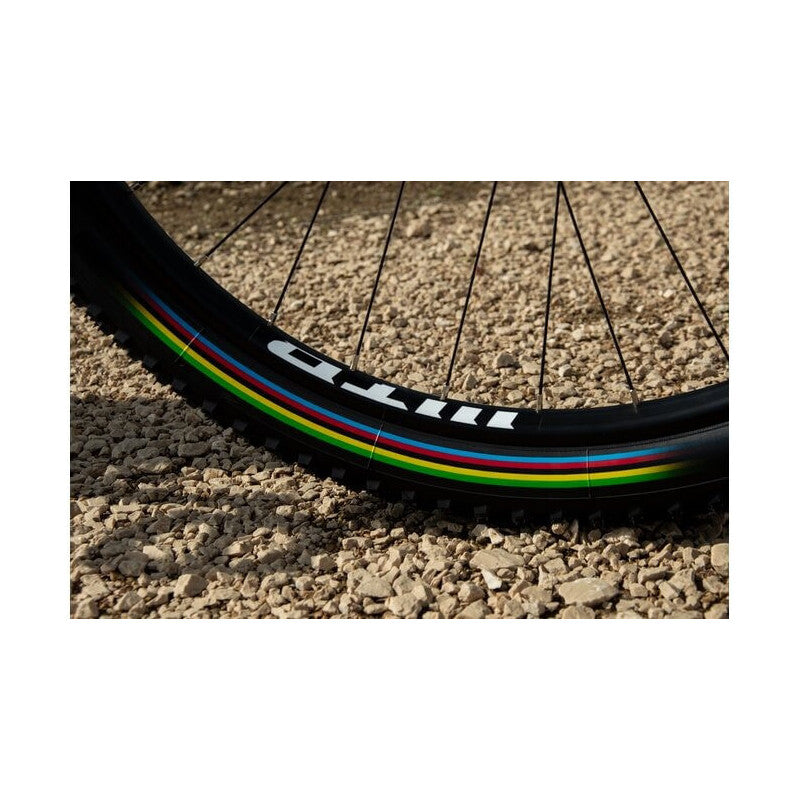 Load image into Gallery viewer, VITTORIA Tire Barzo 29x2.35 TLR Black UCI Rainbow Edition - Maison du Vélo
